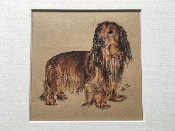 Long Haired Dachshund Artwork Long Haired Dachshund Gifts Etsy