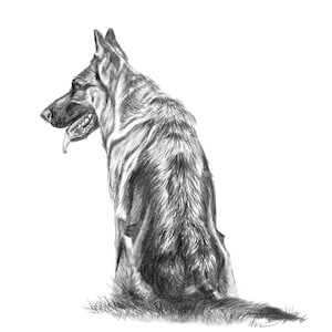German Shepherd pencil sketch print, german shepherd sketch, german shepherd art, german shepherd lover gifts, gsd wallart, gsd lover gifts