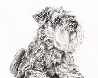 Schnauzer Pencil Sketch Print, Schnauzer print, Schnauzer art, Schnauzer owner gift, Schnauzer picture, Schnauzer drawing