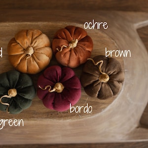 Newborn Velvet Pumpkins Toys, Newborn Pumpkin Decor, Newborn Photography Props Set, Newborn Photo Props, Velvet Pumpkins Fall Decor Autumn image 4