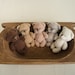 see more listings in the Newborn Toys section