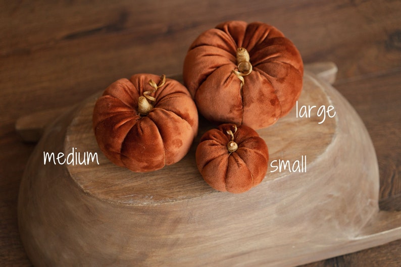 Newborn Velvet Pumpkins Toys, Newborn Pumpkin Decor, Newborn Photography Props Set, Newborn Photo Props, Velvet Pumpkins Fall Decor Autumn image 3