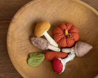 Newborn Fall Decor Autumn Photo Props, Newborn Pumpkin Decor, Newborn Mushroom Photo Prop, Newborn Photography Props Set, Carrot Fabric Toy