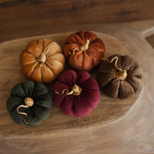 Newborn Velvet Pumpkins Toys,Newborn Pumpkin Decor,Newborn Photography Props Set,Newborn Photo Props,Brown Velvet Pumpkins Fall Decor Autumn
