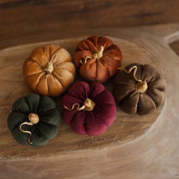 Newborn Velvet Pumpkins Toys, Newborn Pumpkin Decor, Newborn Photography Props Set, Newborn Photo Props, Velvet Pumpkins Fall Decor Autumn