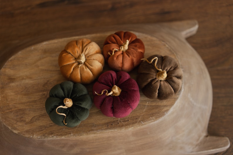 Newborn Velvet Pumpkins Toys, Newborn Pumpkin Decor, Newborn Photography Props Set, Newborn Photo Props, Velvet Pumpkins Fall Decor Autumn image 1