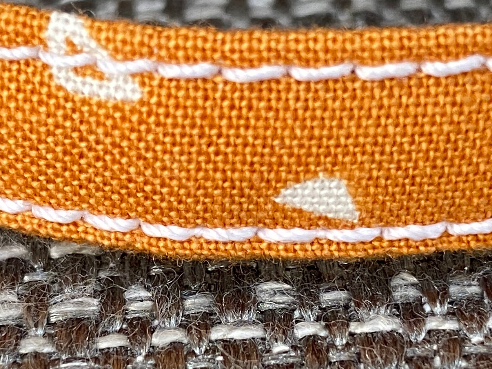 Gold Collar Orange Cat Collar Girl Cat Collar Kitten Etsy