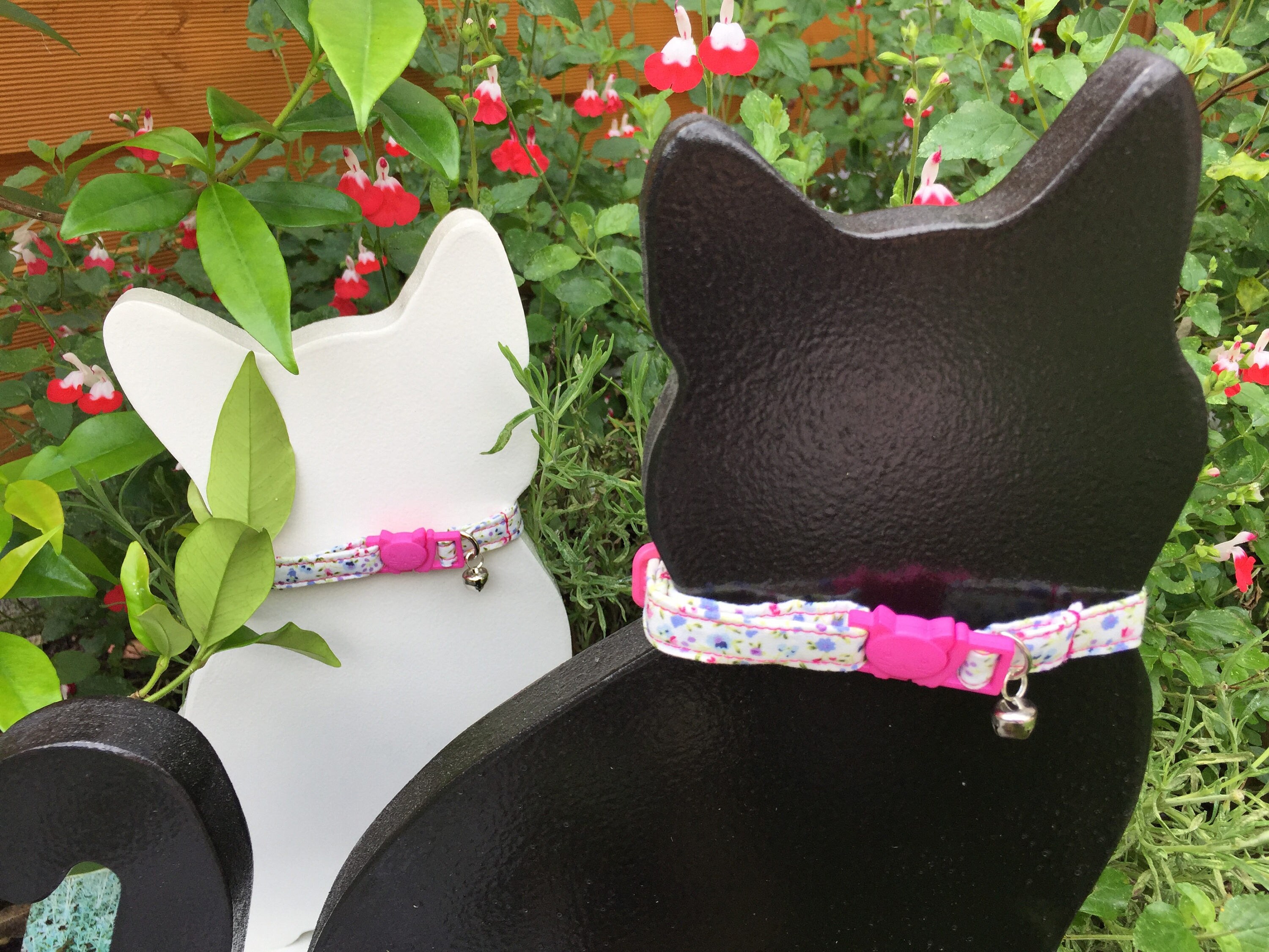 Girl Cat Collar Kitten Collar Adjustable Cat Collar Etsy España