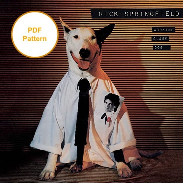 Rick Springfield Cross Stitch Pattern Working Class Dog Album Cover Art PDF Download