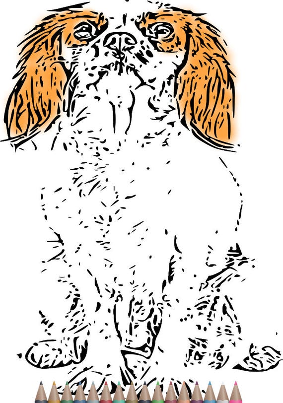 Items similar to Adult Coloring Pages, Cavalier king charles spaniel ...