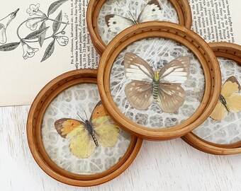 Set 4 vintage butterfly coasters - Bohemian Boho Global Eclectic Style Decor Home - cane rattan wicker - natural history basket wall #8095