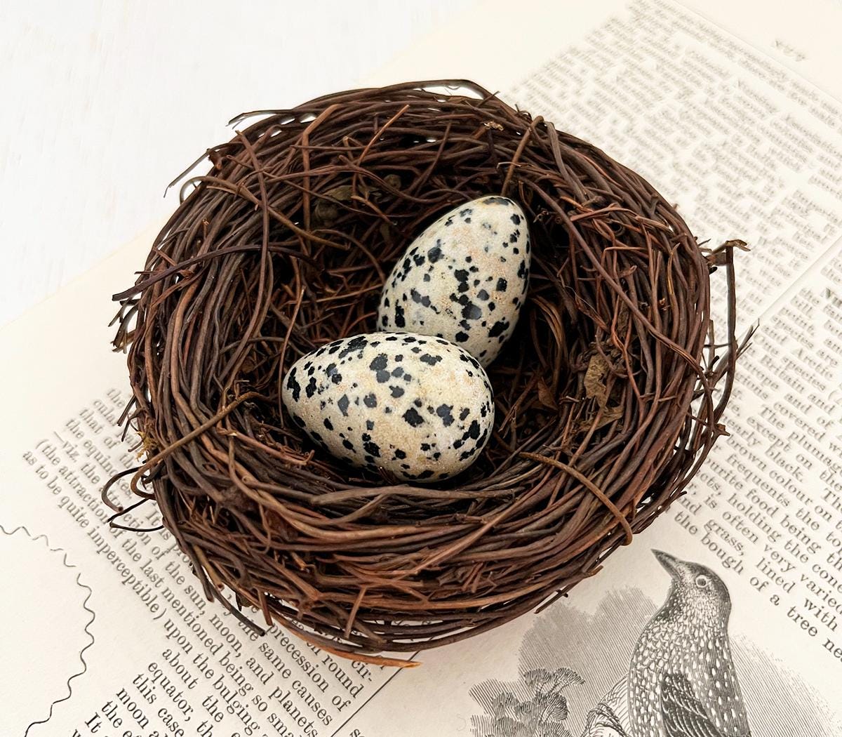Twig Bird Nest With Speckled Crystal Eggs - Dalmatian Jasper - Natural ...