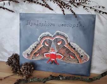 3D Moth Painting on Canvas, Cecropia, Hanging Wall Art