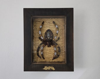 Orb Weaver Spider Sculpture in Shadowbox, Wall Hanging Artwork