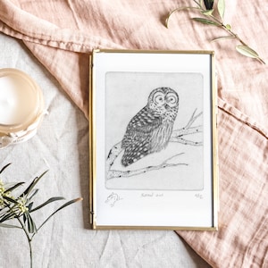 Barred Owl Etching - Handmade Print of Majestic Nocturnal Bird in Black and White