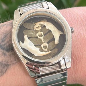 May include: A silver-tone analog wristwatch featuring a dark face decorated with small, off-white animal bone fragments arranged in a central pattern. The timepiece has a metallic link band and a circular bezel, presenting a distinct, skeletal aesthetic.