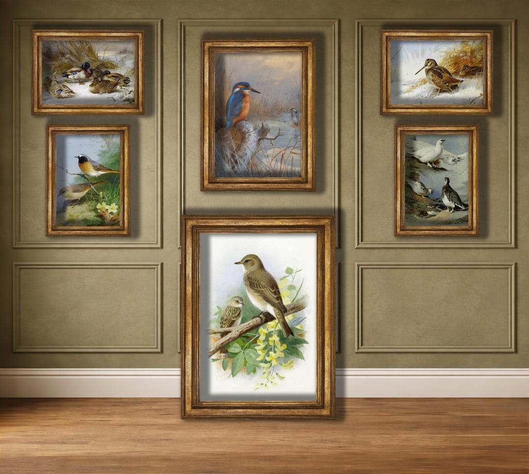 Vintage Bird Wall Art | Set of 6 Printables | Gallery Wall Collection ...