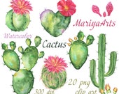 Cactus Watercolor Clipart, Blossom Succulents, Hand Painted, Digital Clip Art, Flowers, Succulent Clip Art, Commercial Use, Instant Download