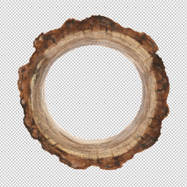 Holzscheiben Clipart BaumScheibeClipArt Aquarell Border Etsy