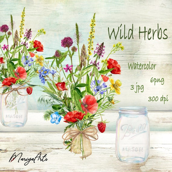 Wildflowers Wild Herbs Clipart Watercolor Flowers Floral Etsy