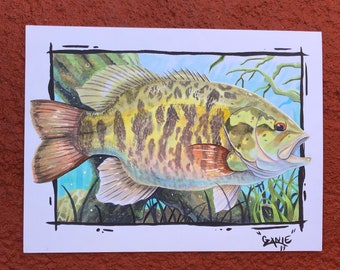 Smallmouth 2019 Print 10"x8"