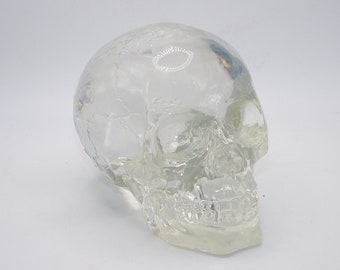 Cráneo de lucita 3D vintage
