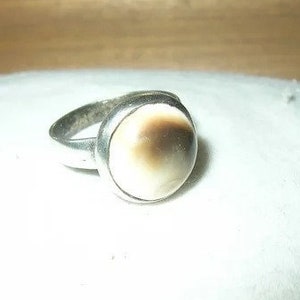 Vintage Sterling Ring Operculum Shell