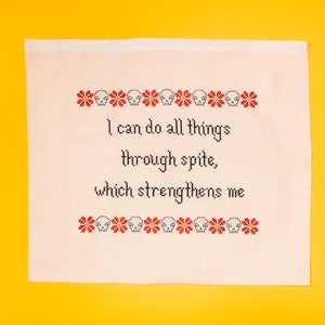 Handmade sarcastic finished cross-stitch embroidery &quot;I can do all things through spite...&quot; (made-to-order, UNFRAMED)
