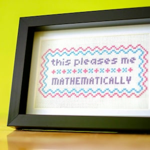 May include: A framed cross-stitch artwork with the text "this pleases me MATHEMATICALLY". The design features a blue and pink border and text, set against a beige background. The frame is black.