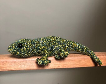 iguana teddy