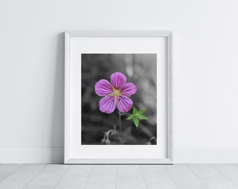 nature prints nature photography nature wall art nature art  nature prints download