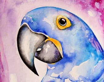 Hyacinth macaw watercolor