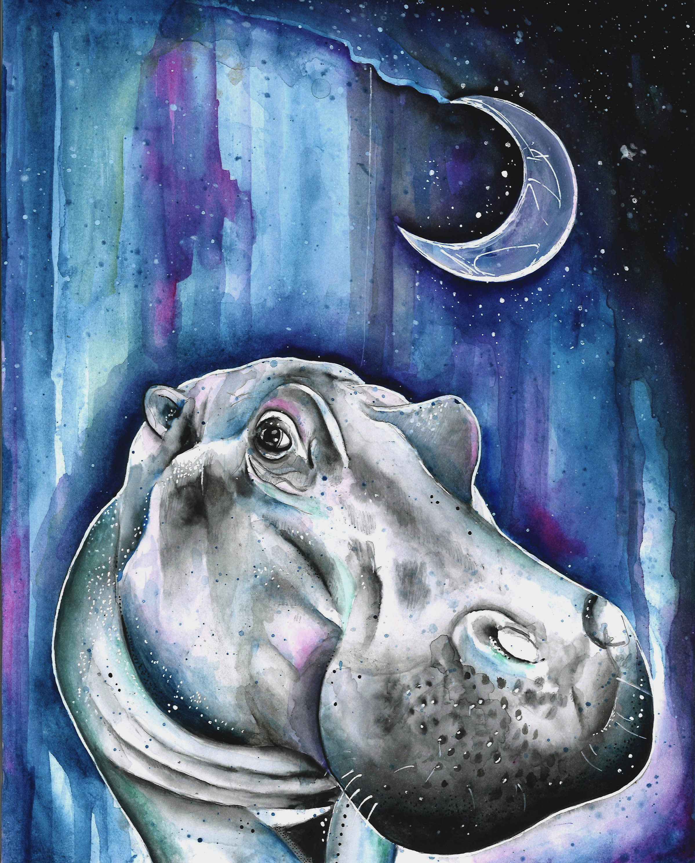 Hippo Watercolor Painting Print by Aemi, Art, Animal, Illustration
