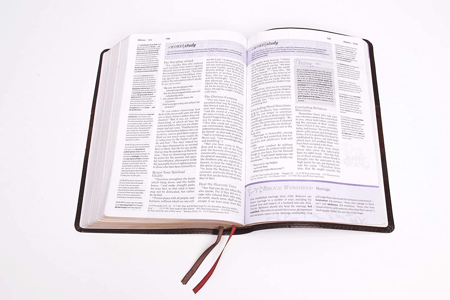 20+ Why Did God Favor Abel