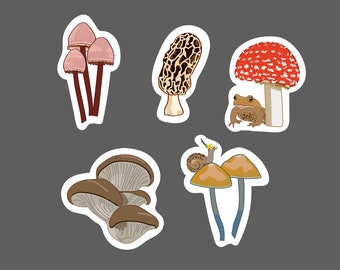 Mushroom Decals, 5 Pack: Pink Waxcap, Morel, Fly Agaric, Oyster Mushroom, Conocybe Tenera, Phone or Laptop Sticker