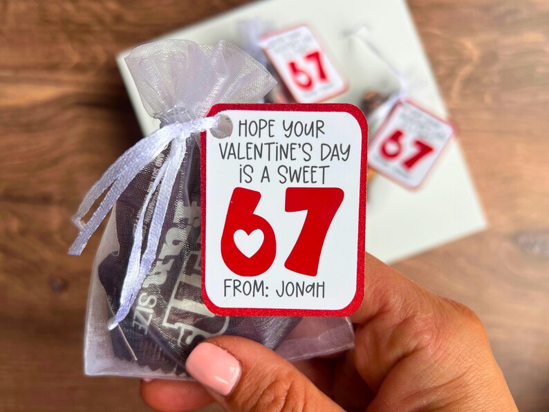 May include: A Valentine's Day gift bag with a tag that reads "Hope your Valentine's Day is a sweet 67" with a heart. The bag contains candy bars. The tag also says "From: Jonah".
