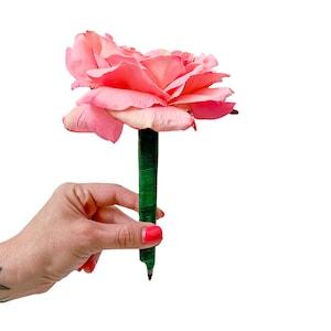 May include: A pink rose is wrapped around a green pen, held in a hand with red nail polish.