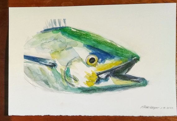 Original Watercolor Art, False Albacore Watercolor, Fishing Art