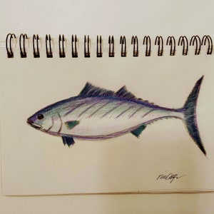 Fish Original Drawing, Hand Drawn Bonito, Fish Art, Hand Illustrated, Sea Life, Fish Illustrations, Nursery Art, Wall Decor