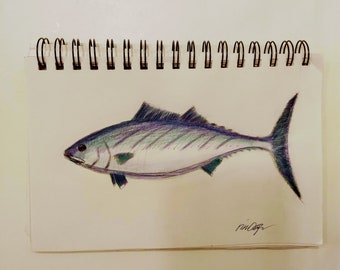 Fish Original Drawing, Hand Drawn Bonito, Fish Art, Hand Illustrated, Sea Life, Fish Illustrations, Nursery Art, Wall Decor