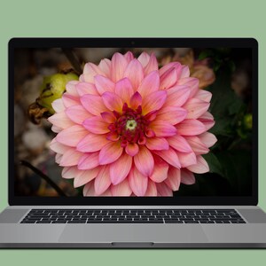 Hyundai Ioniq 5 Atlas White 4k Desktop Wallpaper Digital Etsy