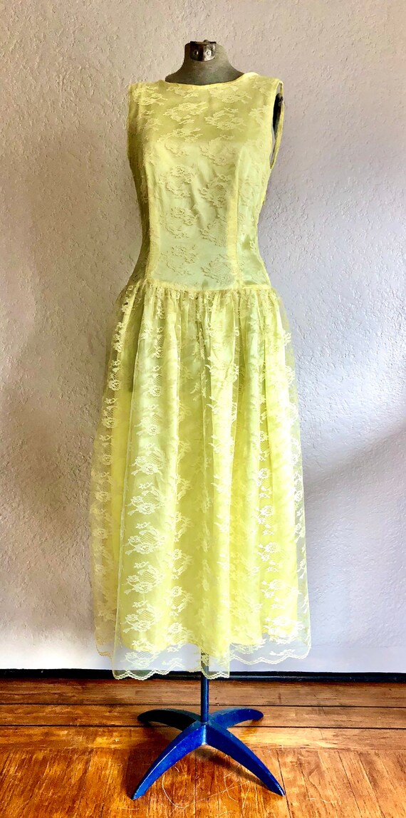 Vintage Drop Waist Dress