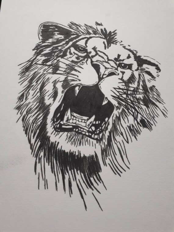 roaring lion head drawing