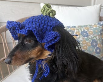 Wzór na szydełkową czapeczkę dla zwierząt z falbanką w kolorze jagodowym