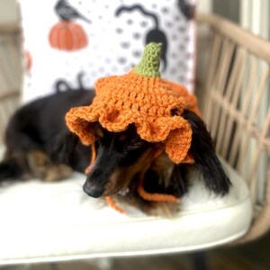 Crochet Pumpkin Hat Pattern for Pets: Ruffle Design, Sizes XS-L (PDF Pattern) image 4