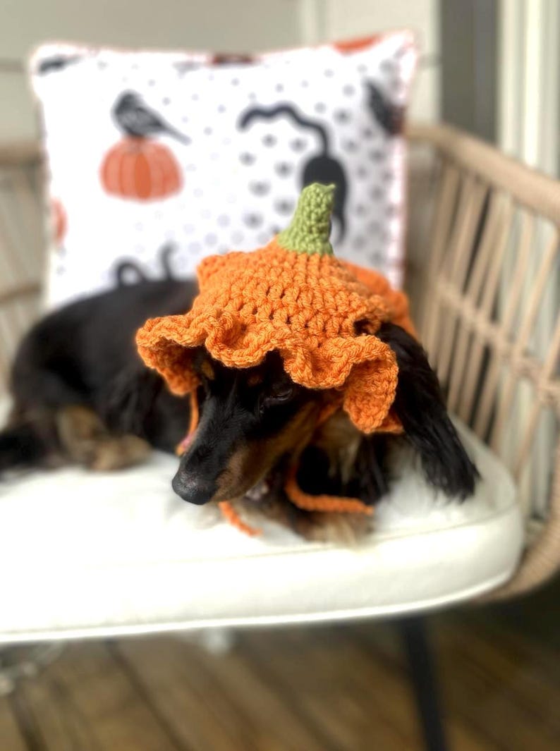 Crochet Pumpkin Hat Pattern for Pets: Ruffle Design, Sizes XS-L (PDF Pattern) image 4