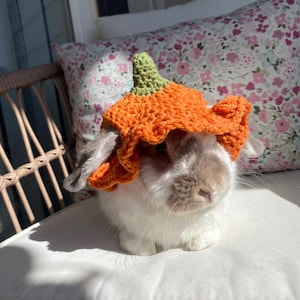 May include: A white rabbit wearing a crocheted orange pumpkin hat with a green stem. The rabbit is sitting on a white cushion.