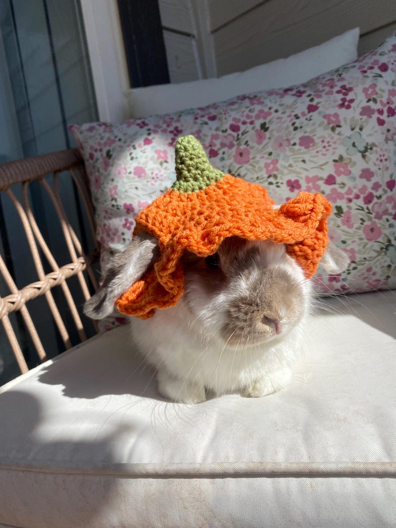 May include: A white rabbit wearing a crocheted orange pumpkin hat with a green stem. The rabbit is sitting on a white cushion.