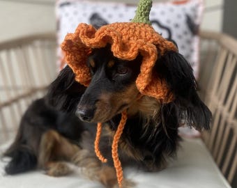 Pumpkin Ruffle Pet Hat: Made-to-Order