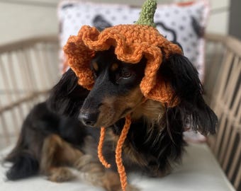 Pumpkin Ruffle Hat Crochet Pattern: XS-L (PDF Pattern)